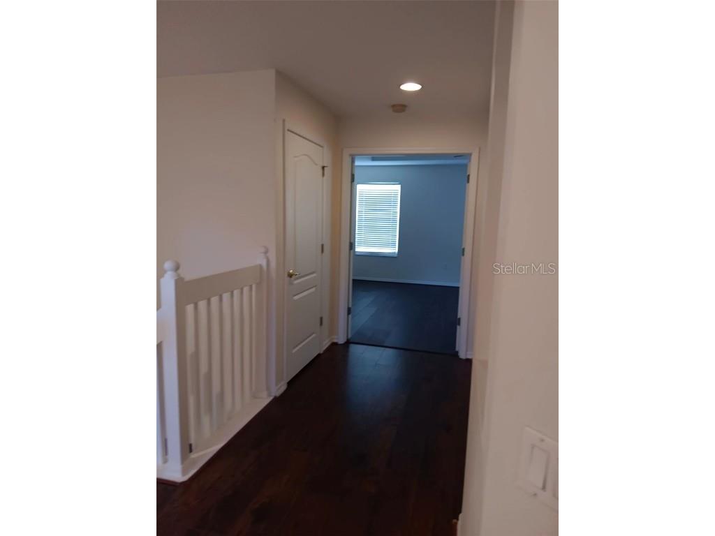 10415 Lucaya Drive Tampa FL 33647 O6311597 image33