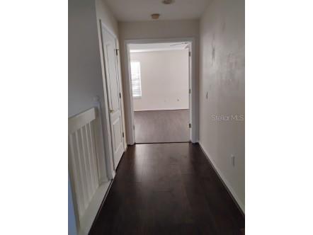 10415 Lucaya Drive Tampa FL 33647 O6311597 image34