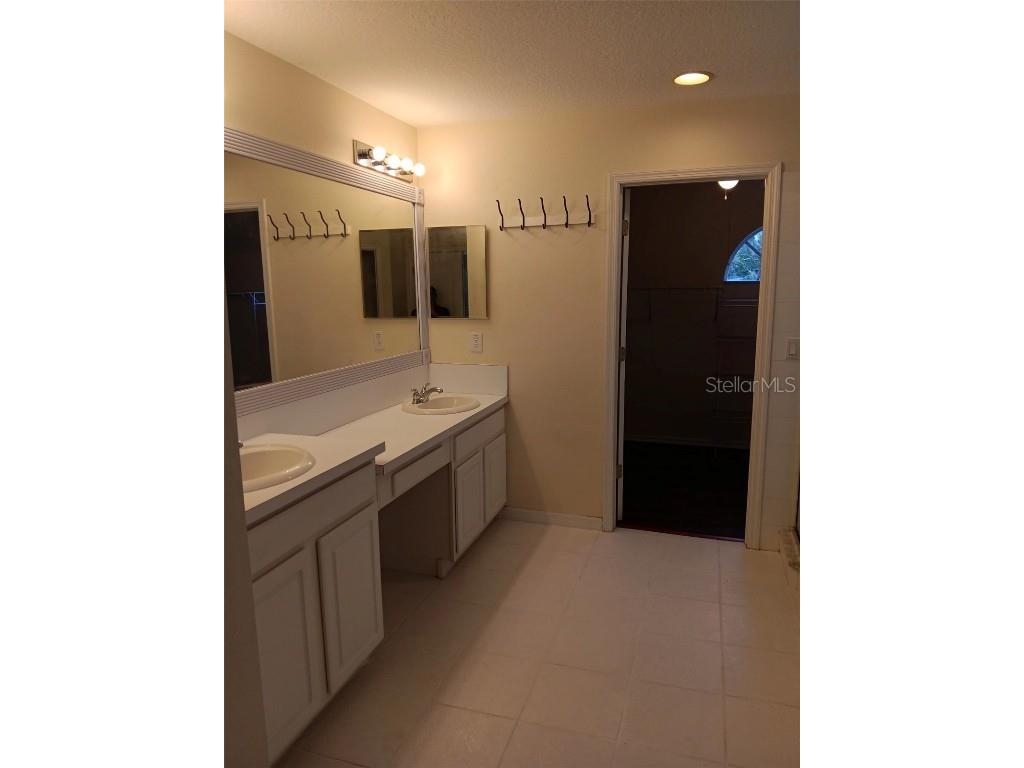 10415 Lucaya Drive Tampa FL 33647 O6311597 image39