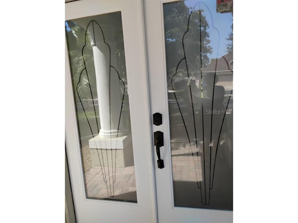 10415 Lucaya Drive Tampa FL 33647 O6311597 image4