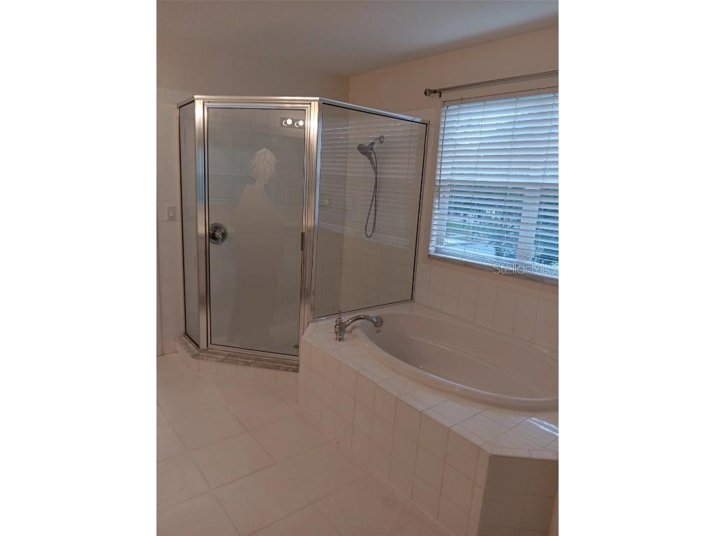 10415 Lucaya Drive Tampa FL 33647 O6311597 image40