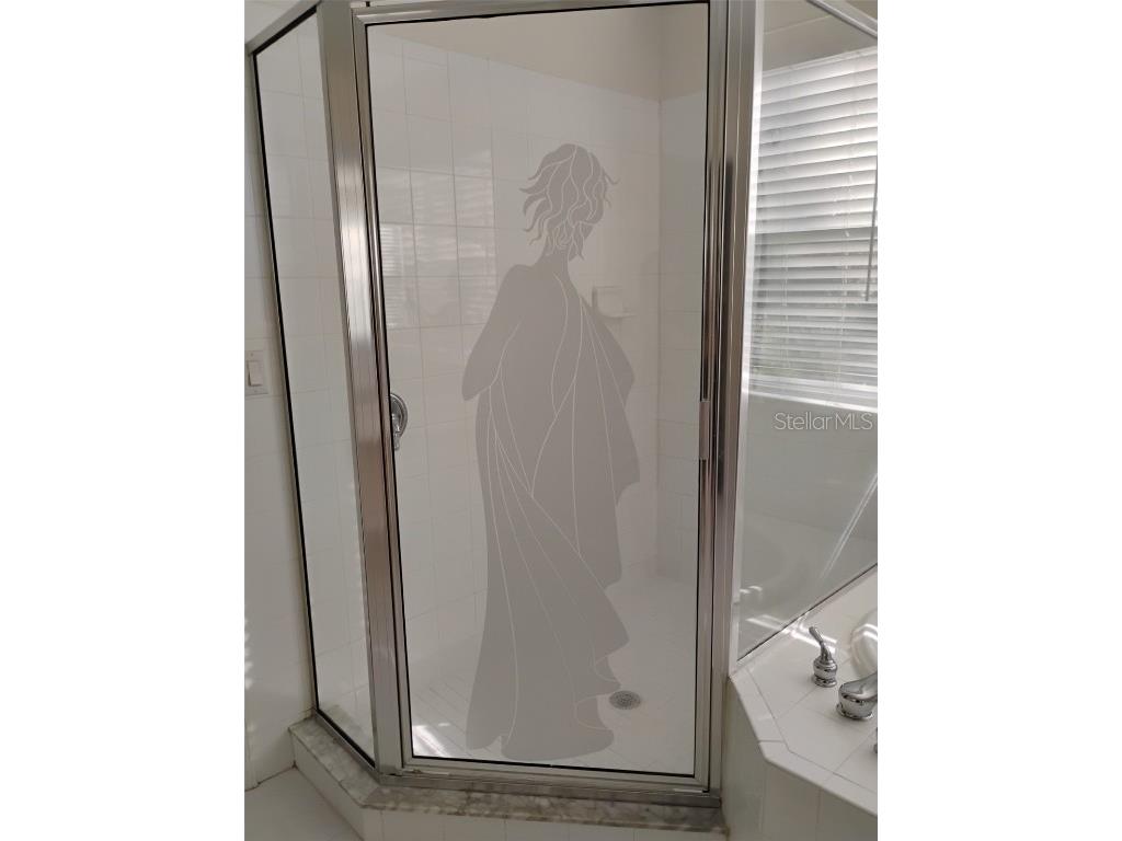 10415 Lucaya Drive Tampa FL 33647 O6311597 image41