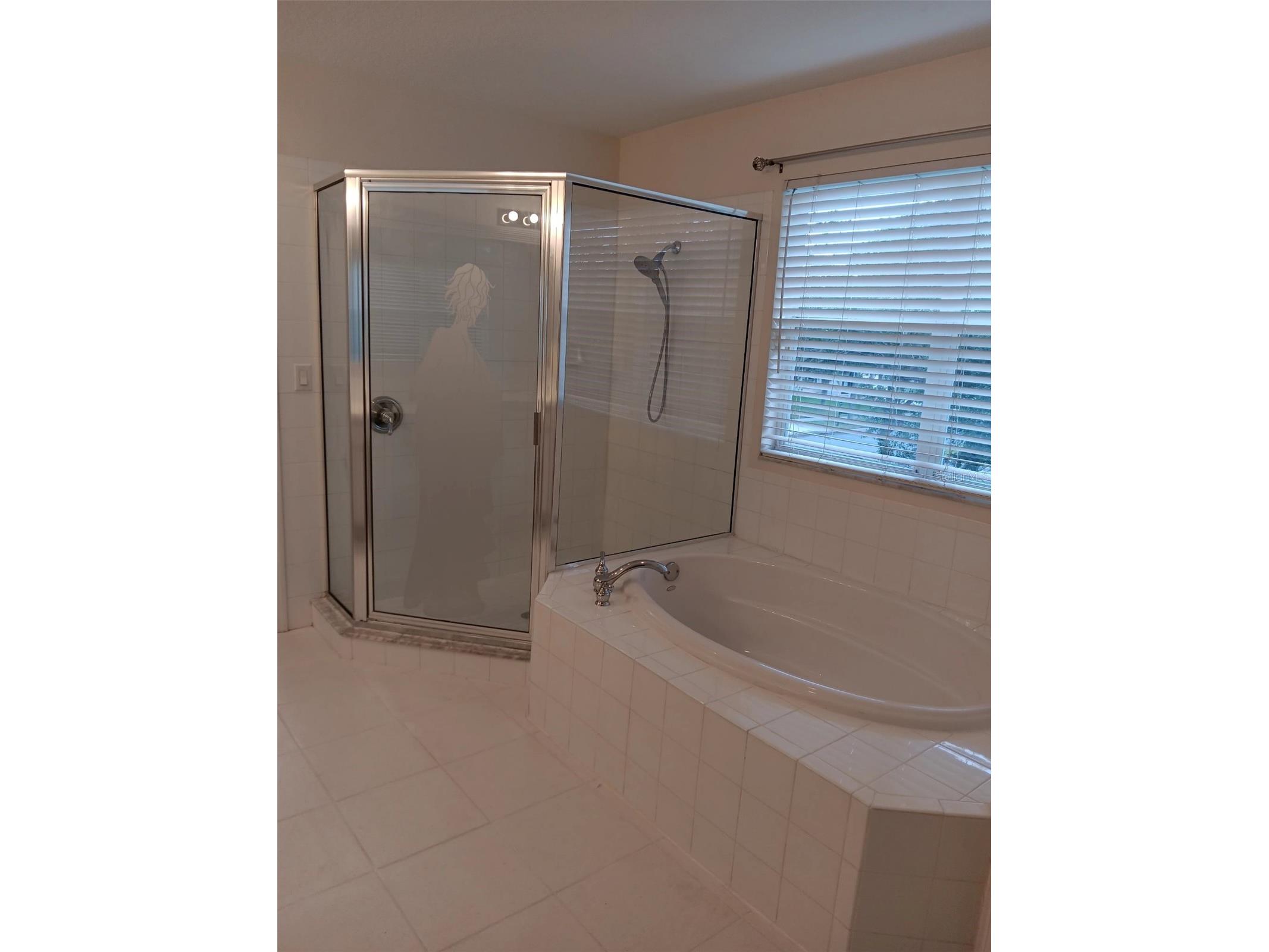 10415 Lucaya Drive Tampa FL 33647 O6421975 image22