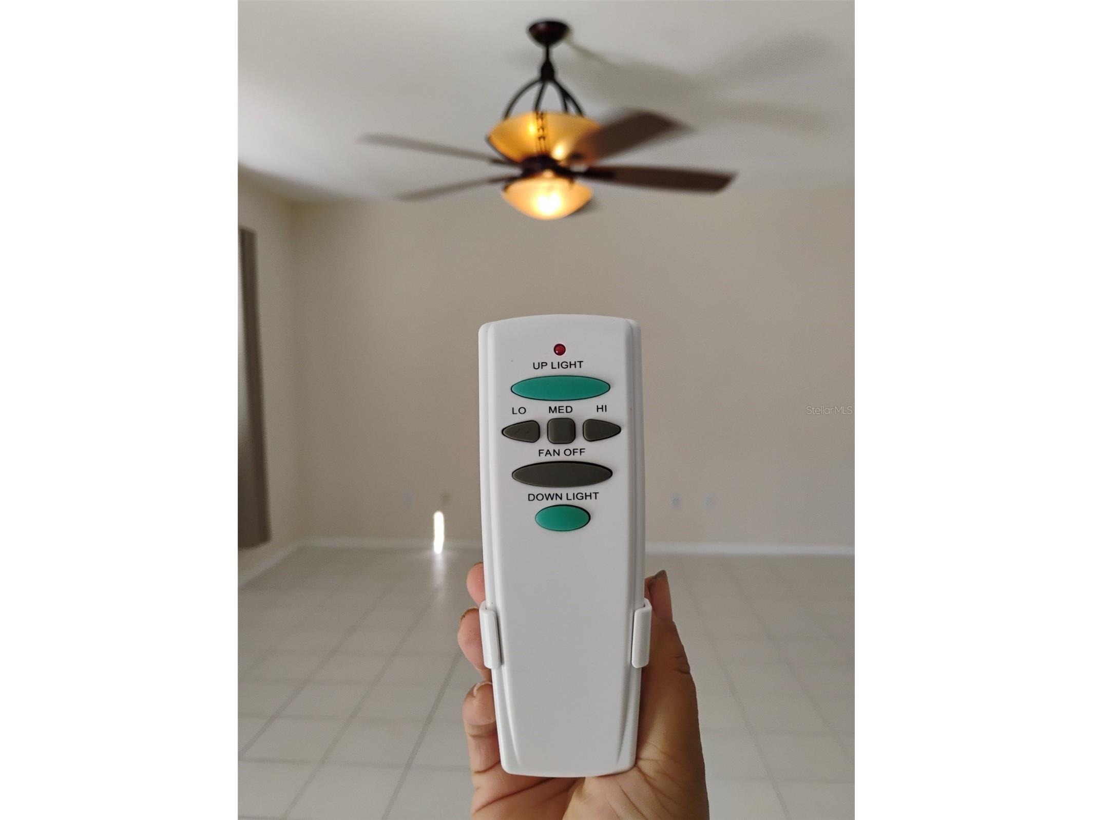 10415 Lucaya Drive Tampa FL 33647 O6421975 image34