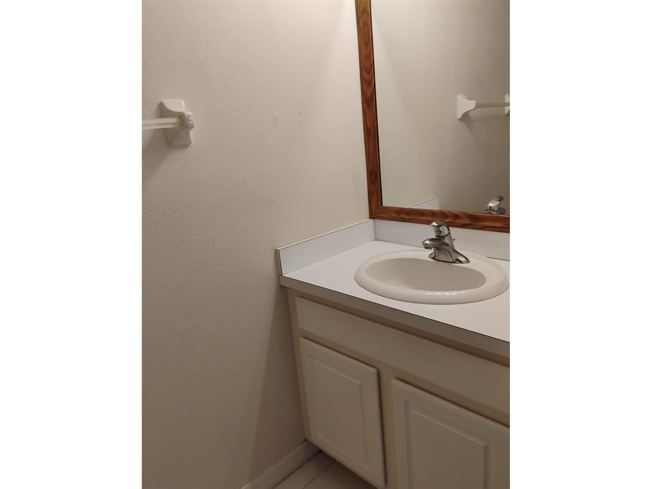 10415 Lucaya Drive Tampa FL 33647 O6421975 image36