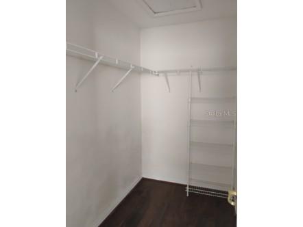 10415 Lucaya Drive Tampa FL 33647 O6421975 image39