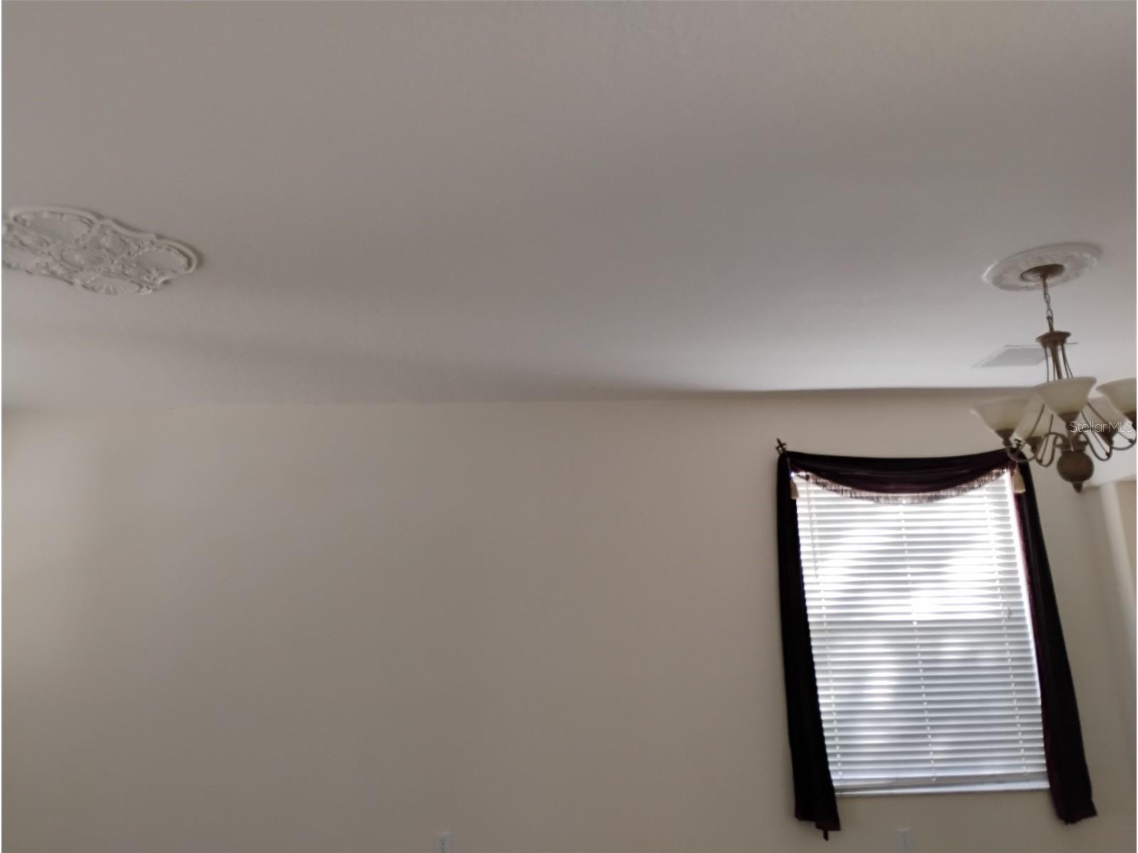 10415 Lucaya Drive Tampa FL 33647 O6421975 image4