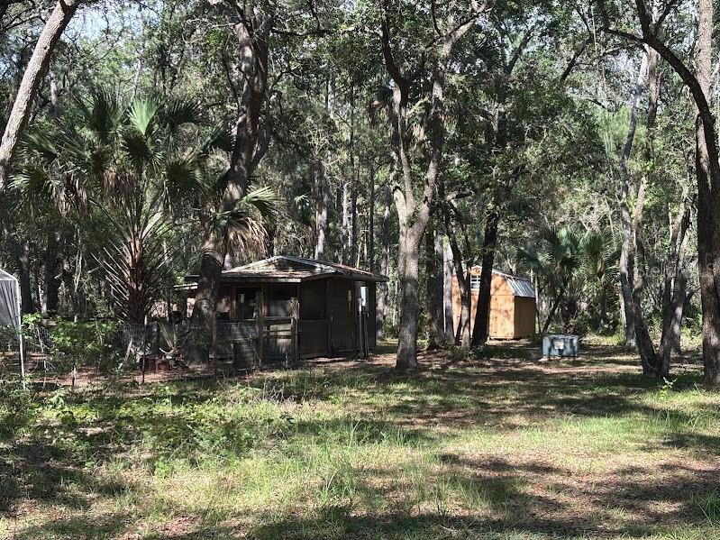 10415 NE 142nd Place Fort Mc Coy FL 32134 OM726754 image1