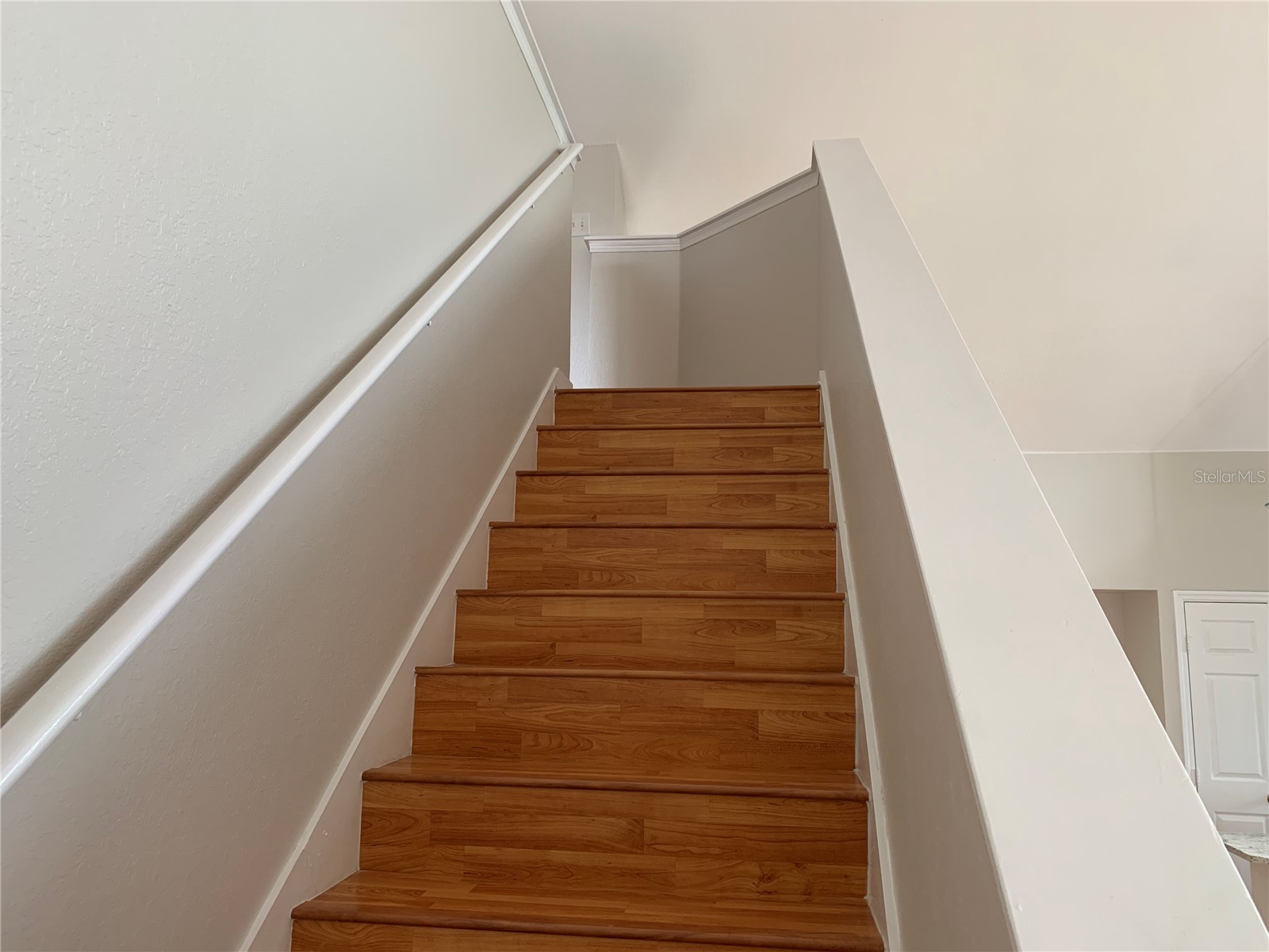 10416 White Lake Court #10416 Tampa FL 33626 TB8499170 image16