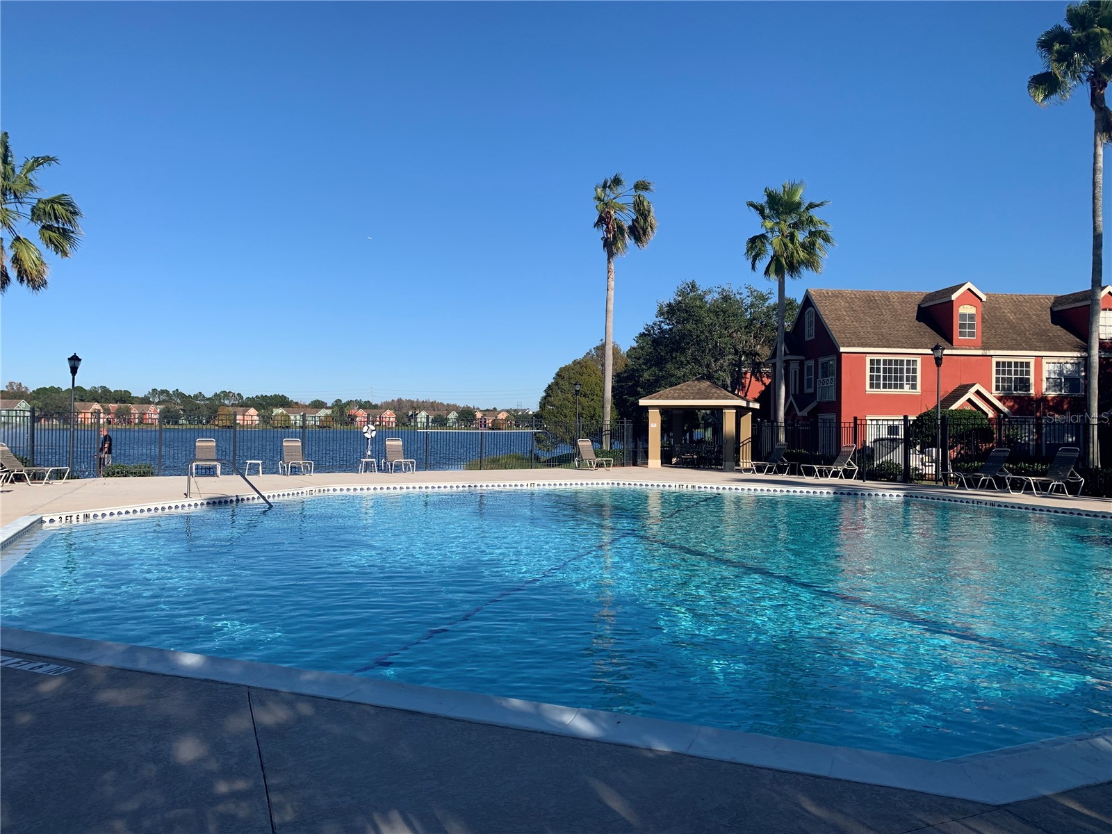 10416 White Lake Court #10416 Tampa FL 33626 TB8499170 image23