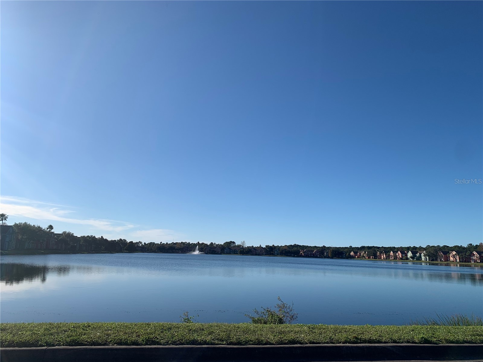 10416 White Lake Court #10416 Tampa FL 33626 TB8499170 image29