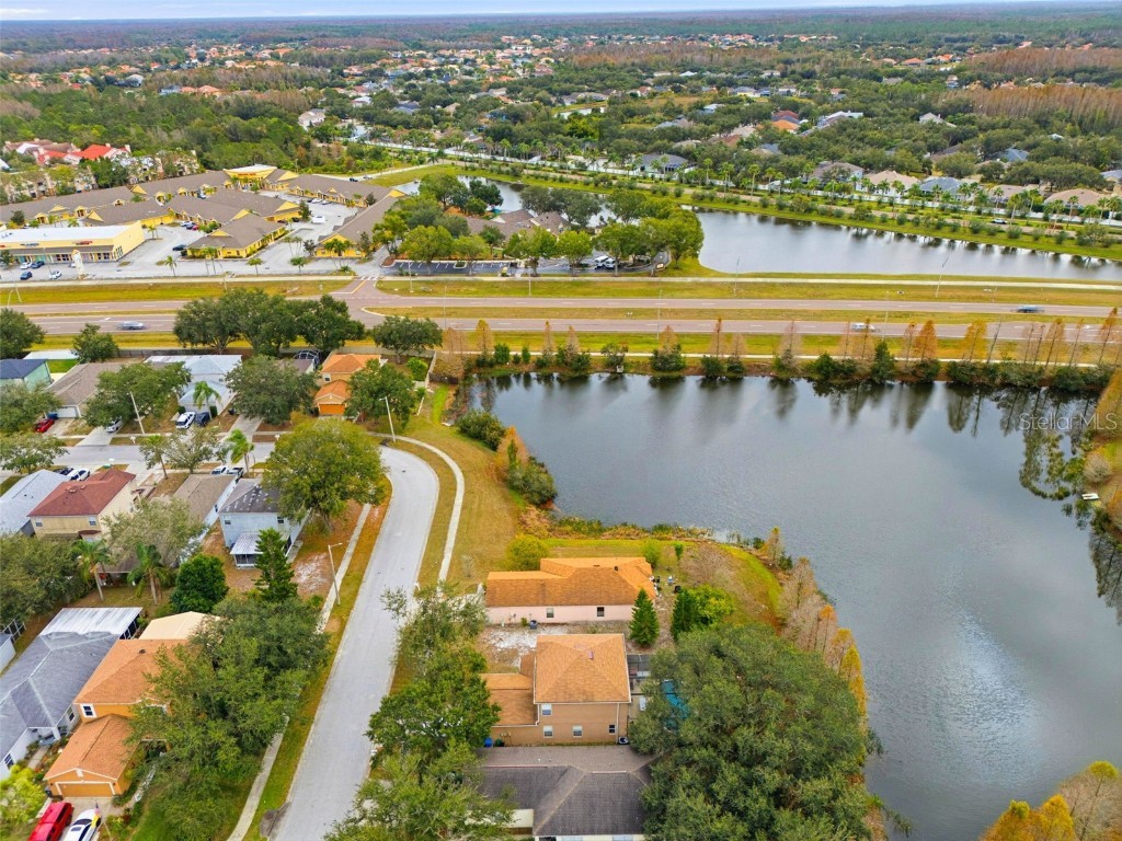 10417 Blackmore Drive Tampa FL 33647 TB8456918 image12