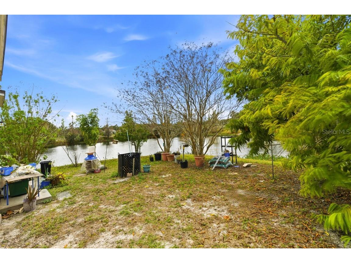 10417 Blackmore Drive Tampa FL 33647 TB8456918 image15