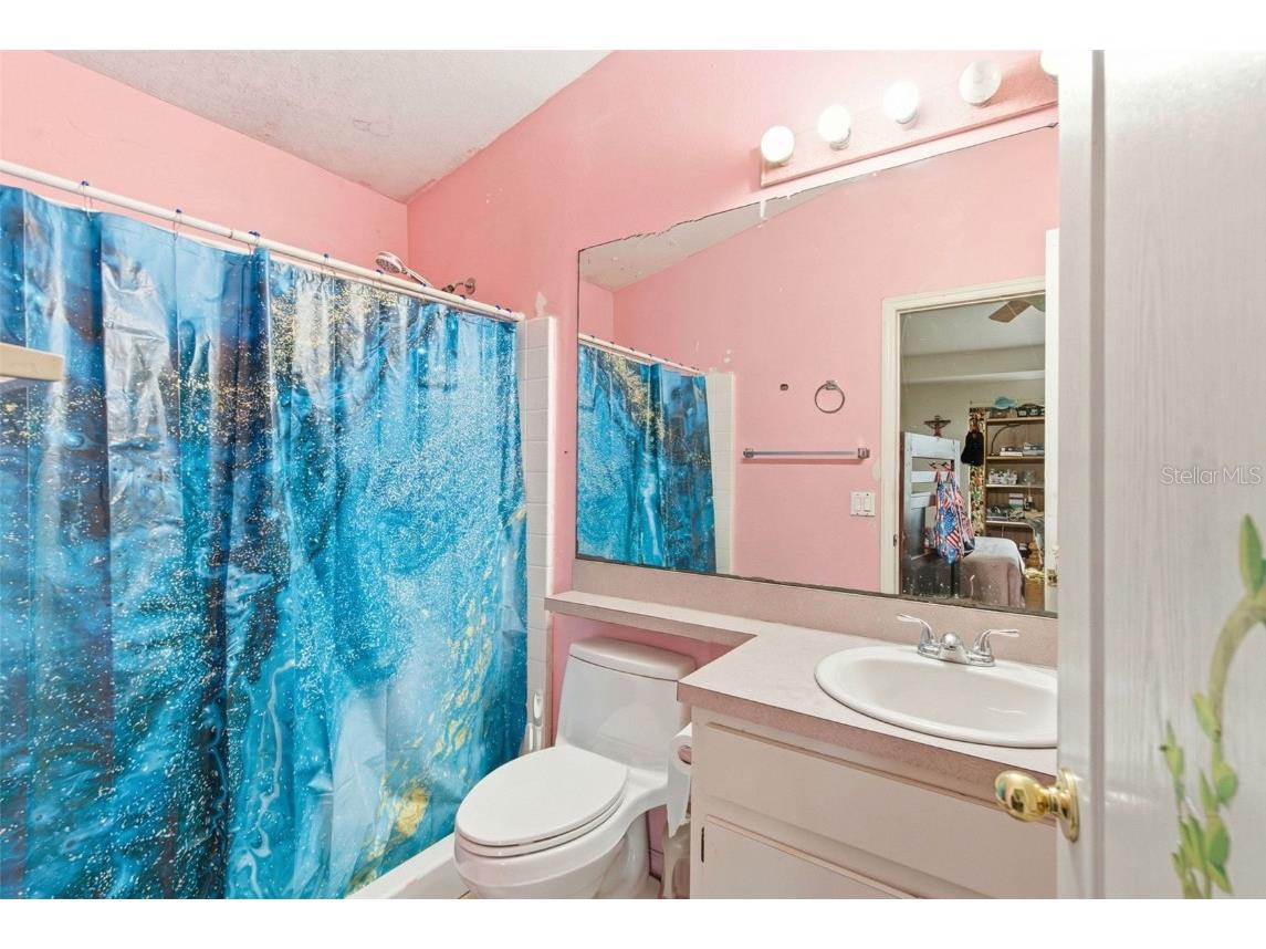 10417 Blackmore Drive Tampa FL 33647 TB8456918 image18