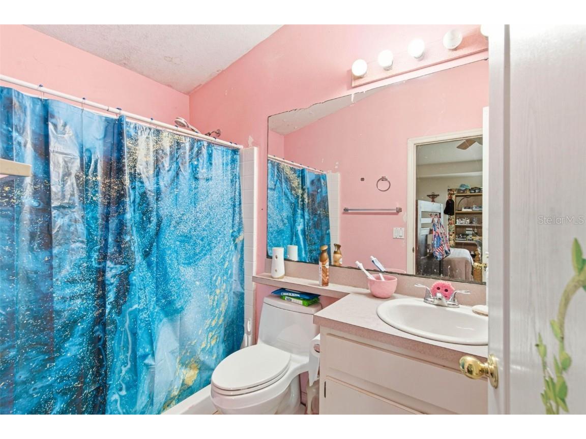 10417 Blackmore Drive Tampa FL 33647 TB8456918 image19