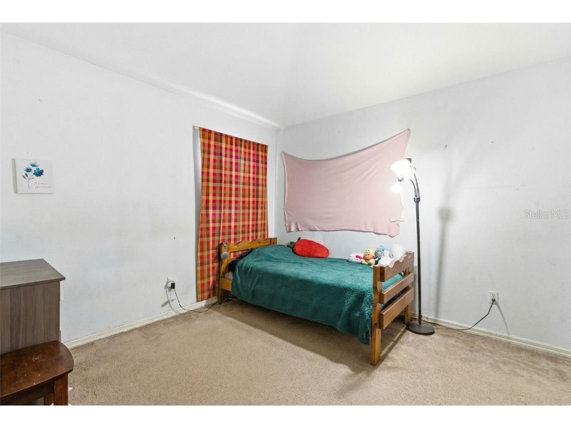 10417 Blackmore Drive Tampa FL 33647 TB8456918 image27