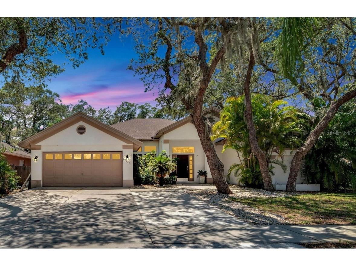 10417 Nightengale Drive Riverview FL 33569 T3451292 image1