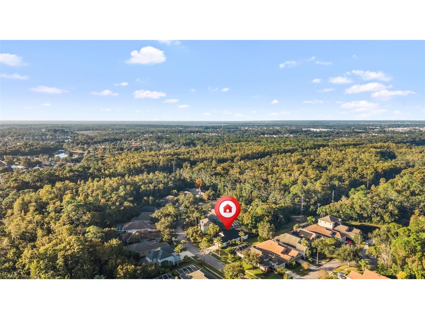 10418 Applecross Lane Tampa FL 33626 TB8445127 image55