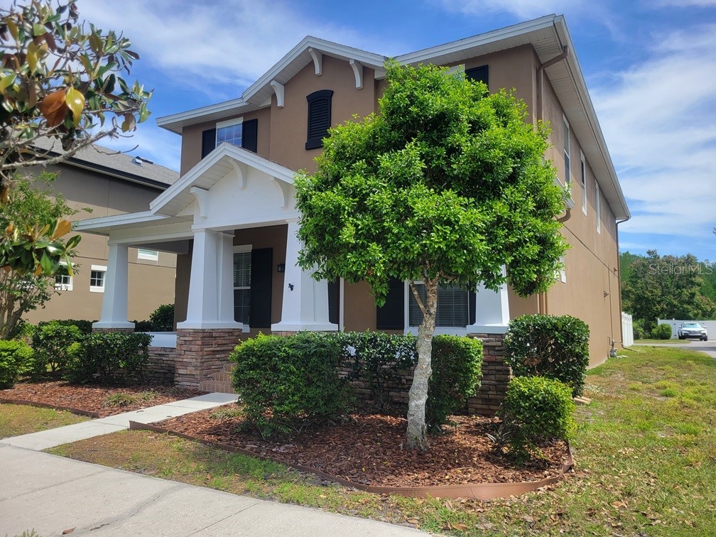 10418 Fenceline Road New Port Richey FL 34655 W7885103 image2