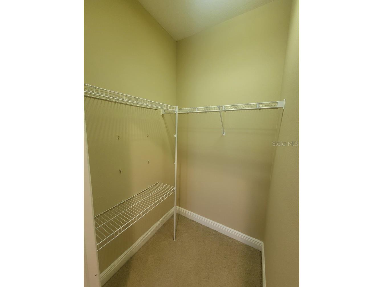 10418 Fenceline Road New Port Richey FL 34655 W7885103 image21