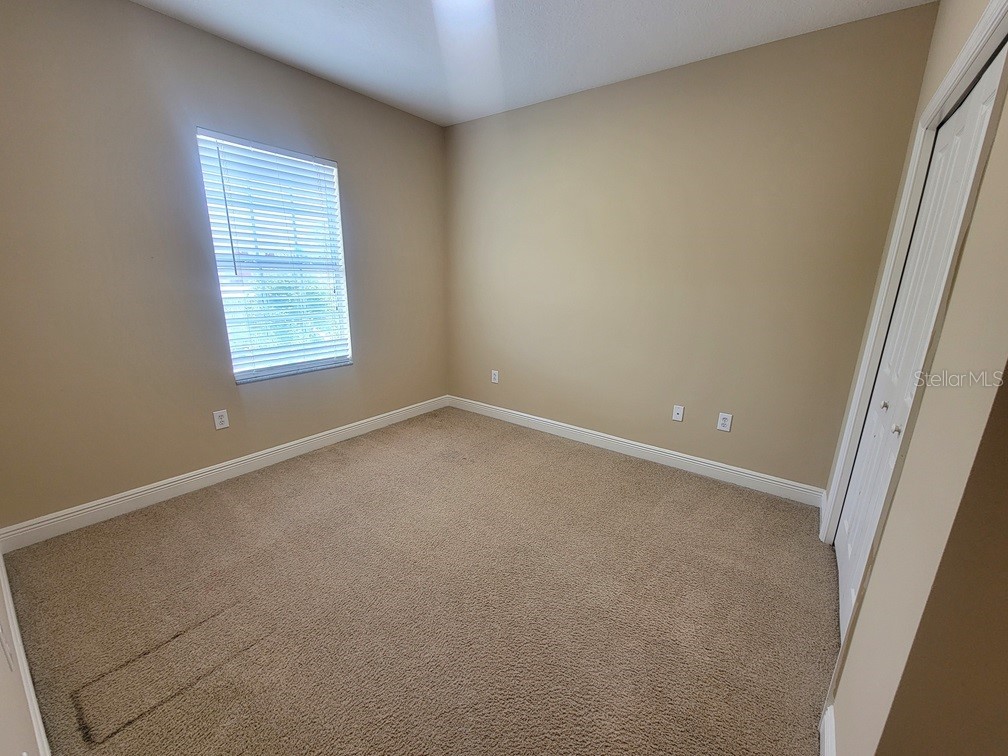 10418 Fenceline Road New Port Richey FL 34655 W7885103 image28