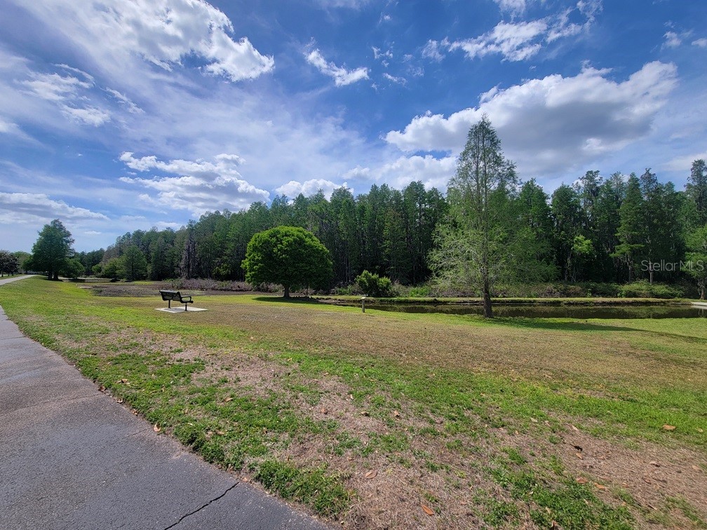 10418 Fenceline Road New Port Richey FL 34655 W7885103 image3