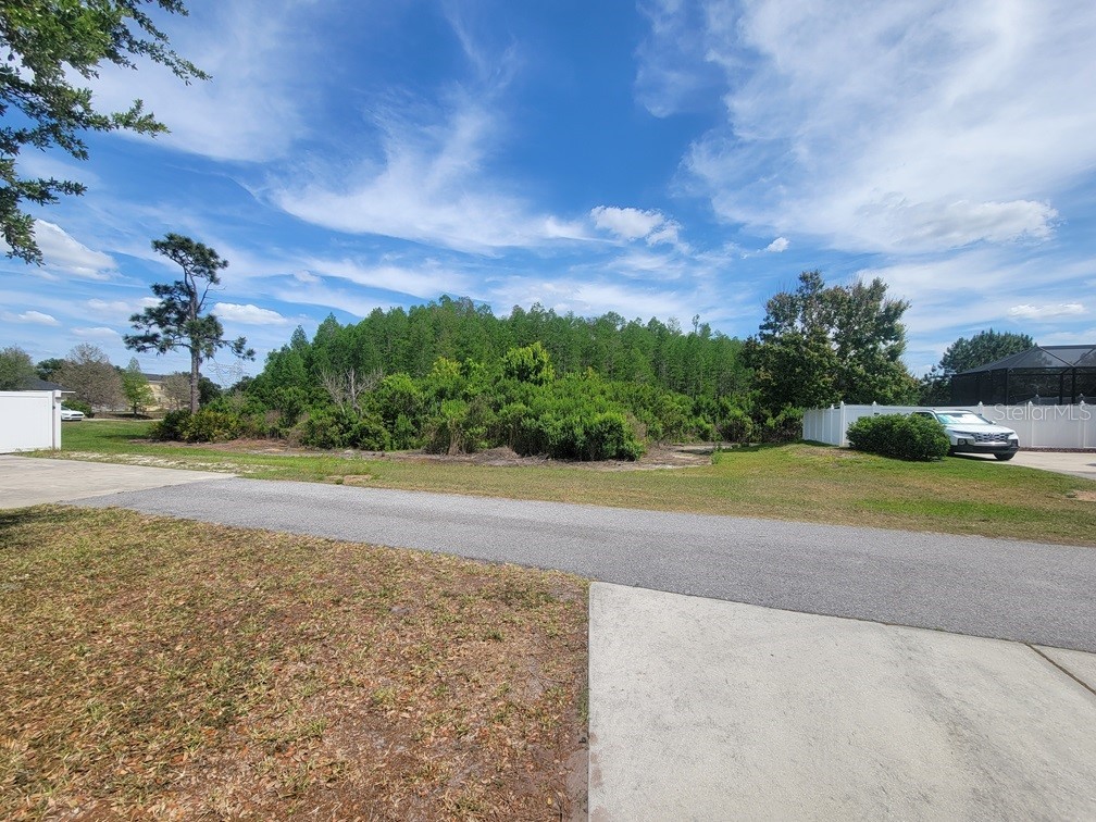 10418 Fenceline Road New Port Richey FL 34655 W7885103 image36