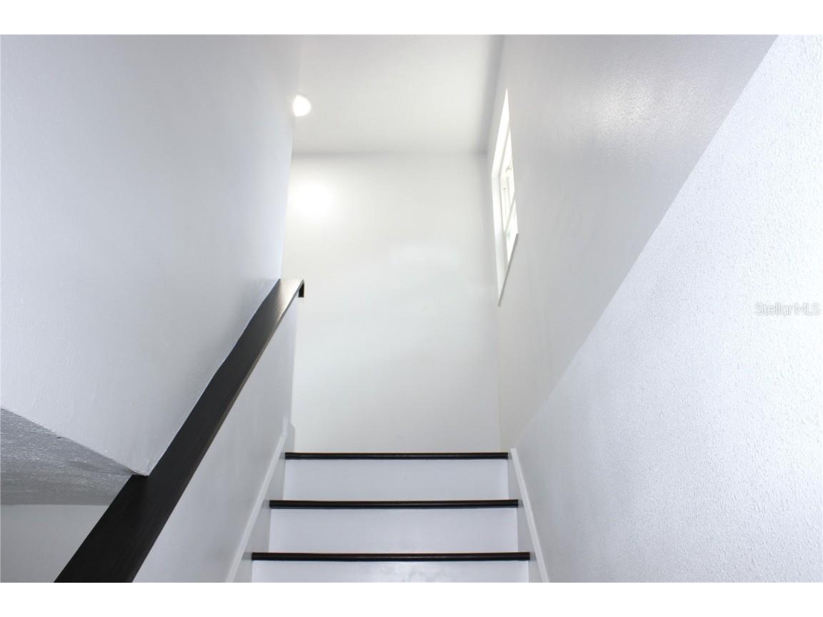 10418 N Oklawaha Avenue Tampa FL 33617 TB8458818 image14