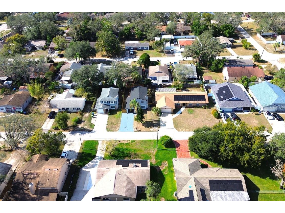 10418 N Oklawaha Avenue Tampa FL 33617 TB8458818 image58