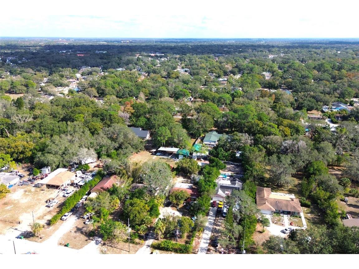 10418 N Oklawaha Avenue Tampa FL 33617 TB8458818 image61