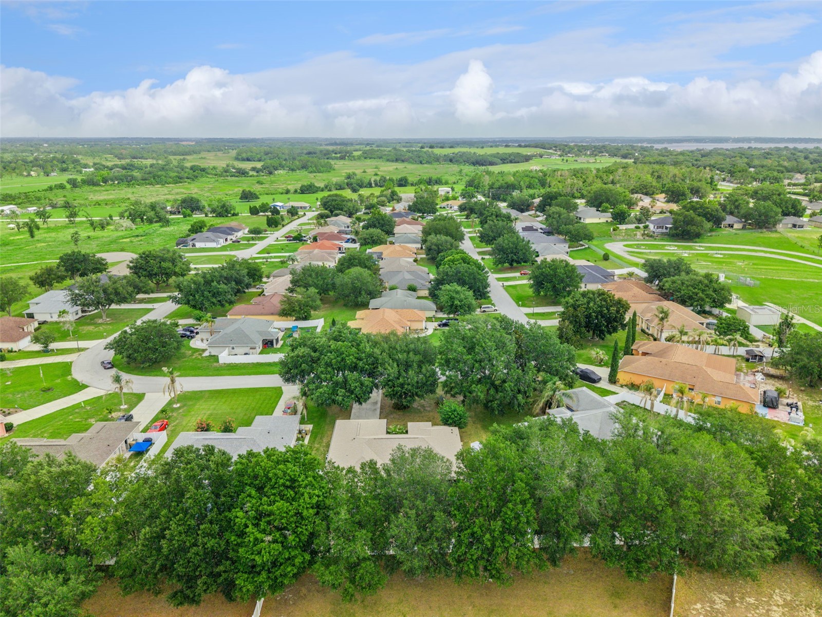 10418 Vista Pines Loop Clermont FL 34711 O6414759 image49