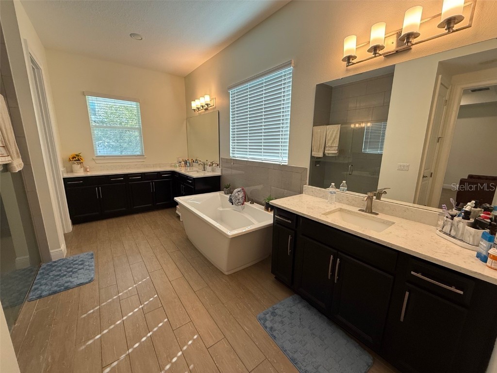 10419 Bissell Street Orlando FL 32836 O6355498 image10