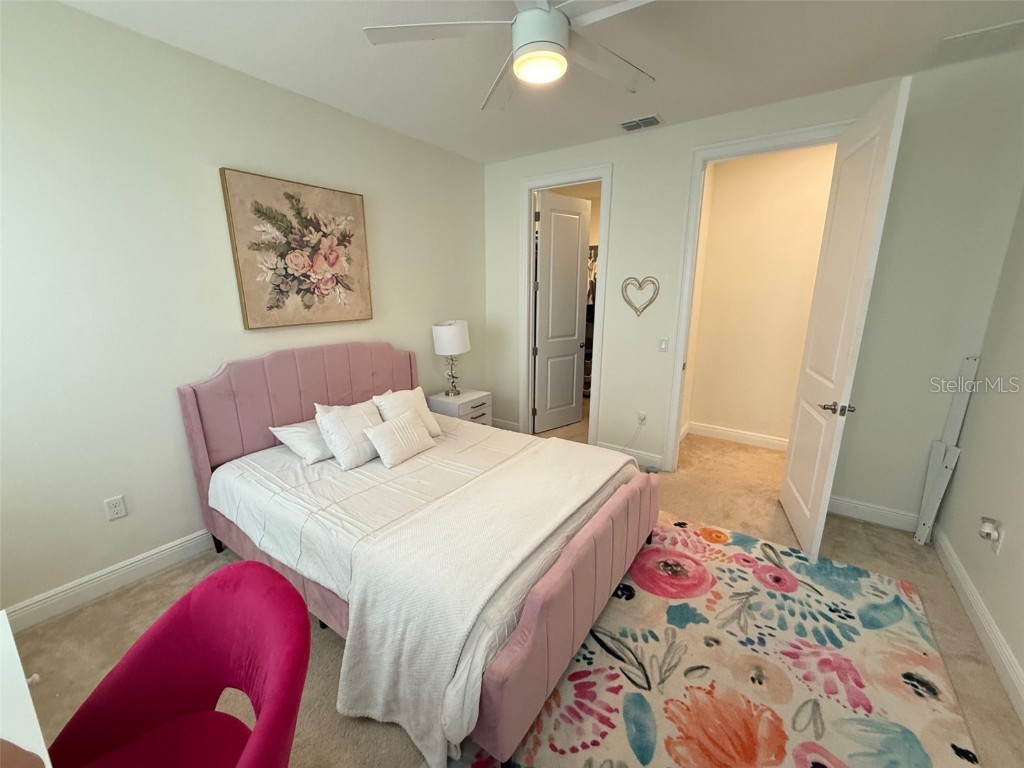 10419 Bissell Street Orlando FL 32836 O6355498 image23