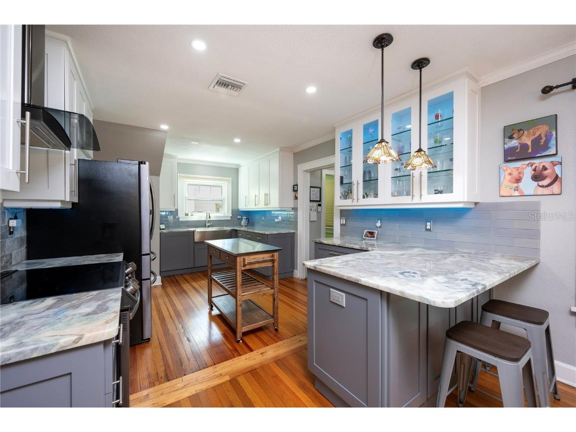 1042 16th Avenue N Saint Petersburg FL 33704 TB8415364 image11