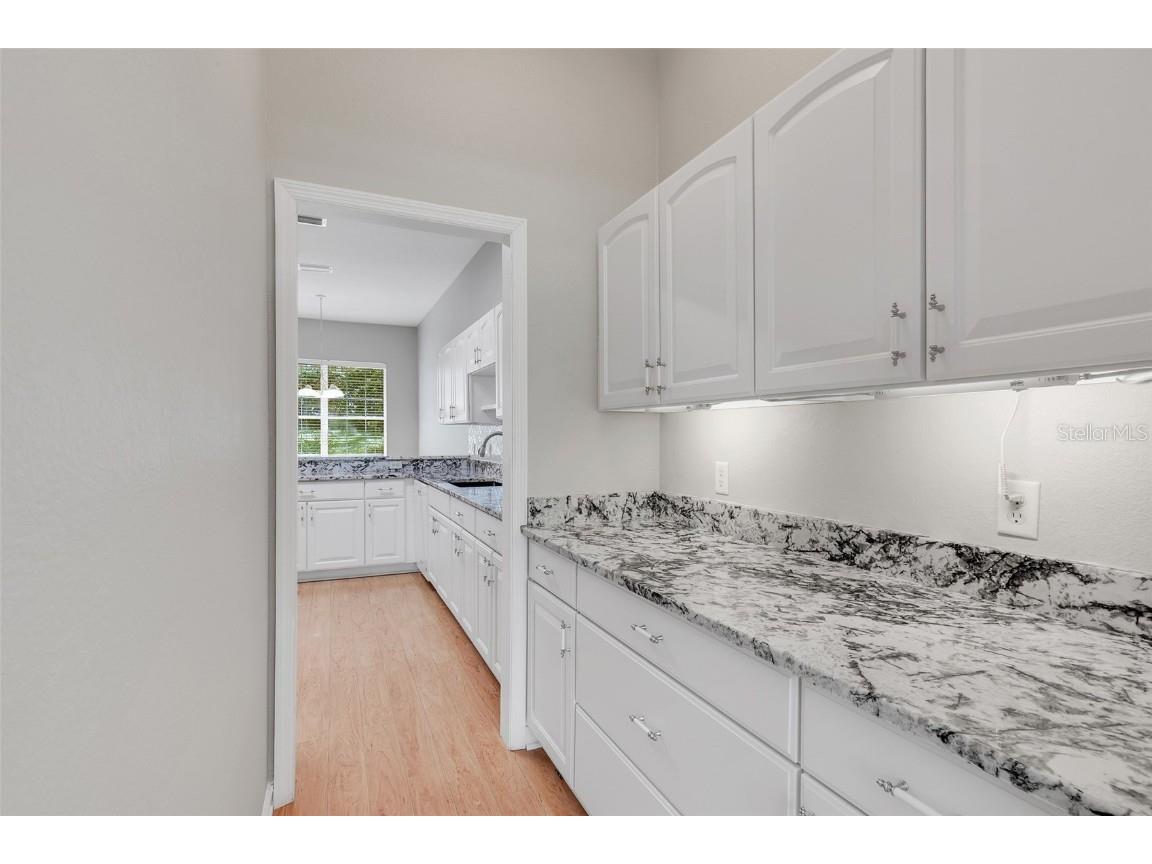 1042 Avenida Sonoma Lady Lake FL 32159 O6330934 image10