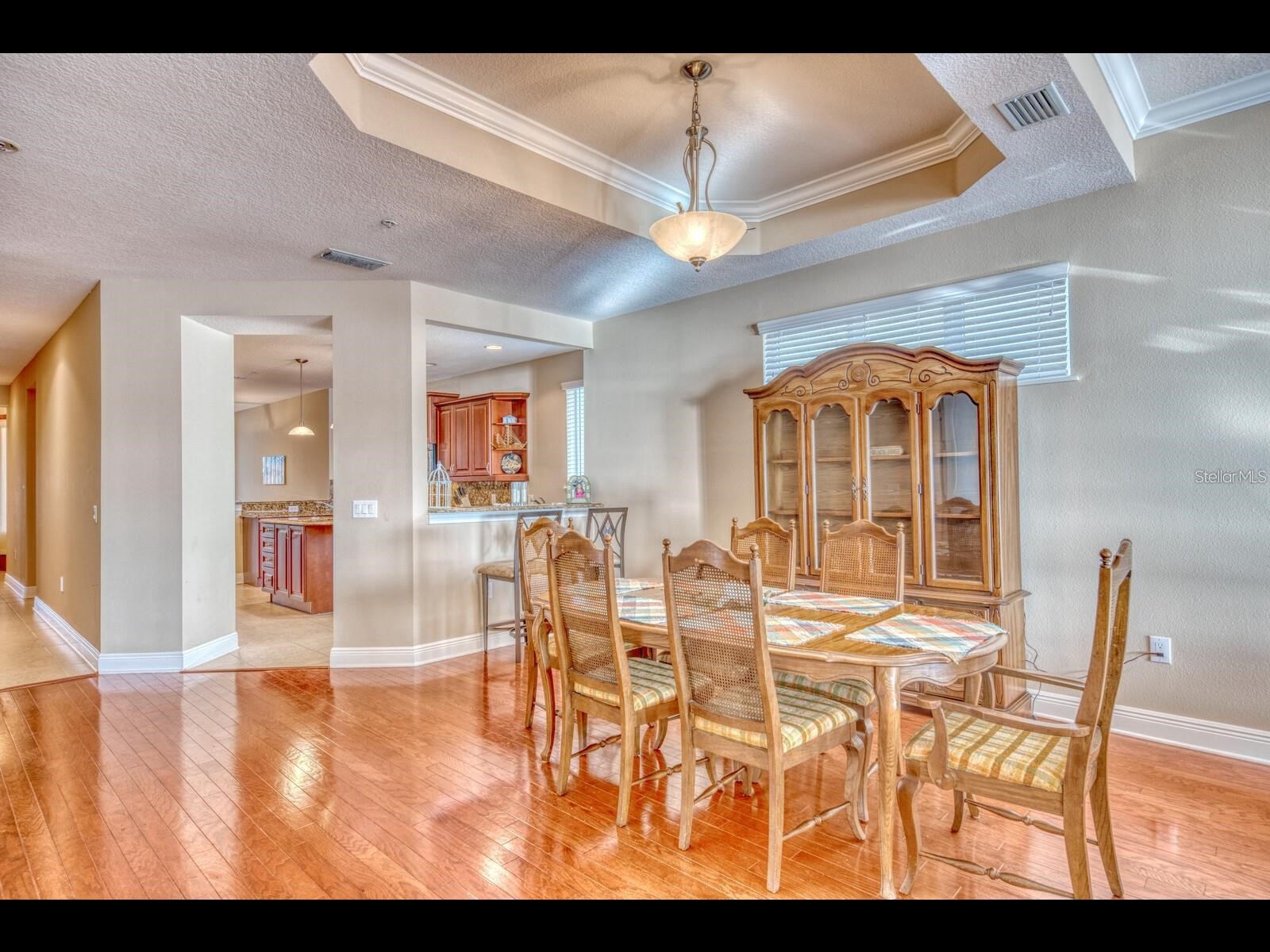 1042 Bellasol Way #203 Apollo Beach FL 33572 TB8524540 image18