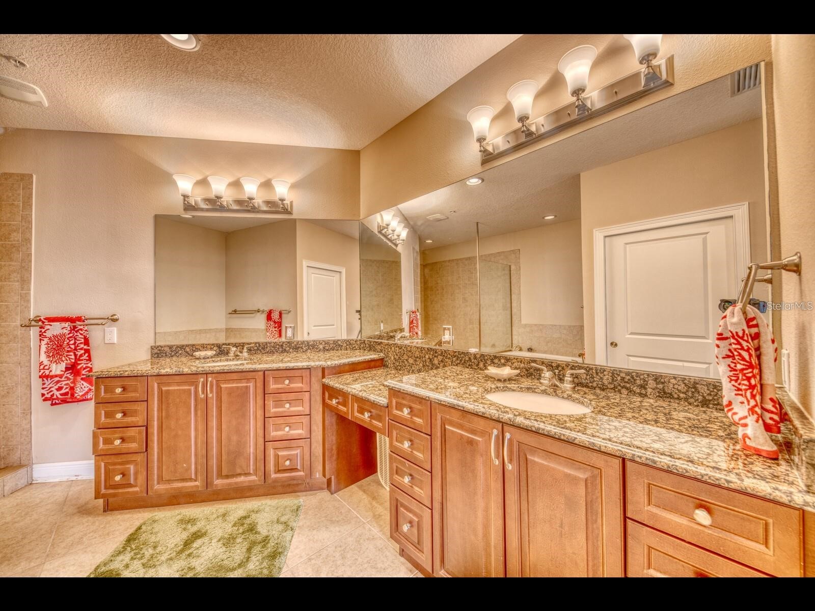 1042 Bellasol Way #203 Apollo Beach FL 33572 TB8524540 image22