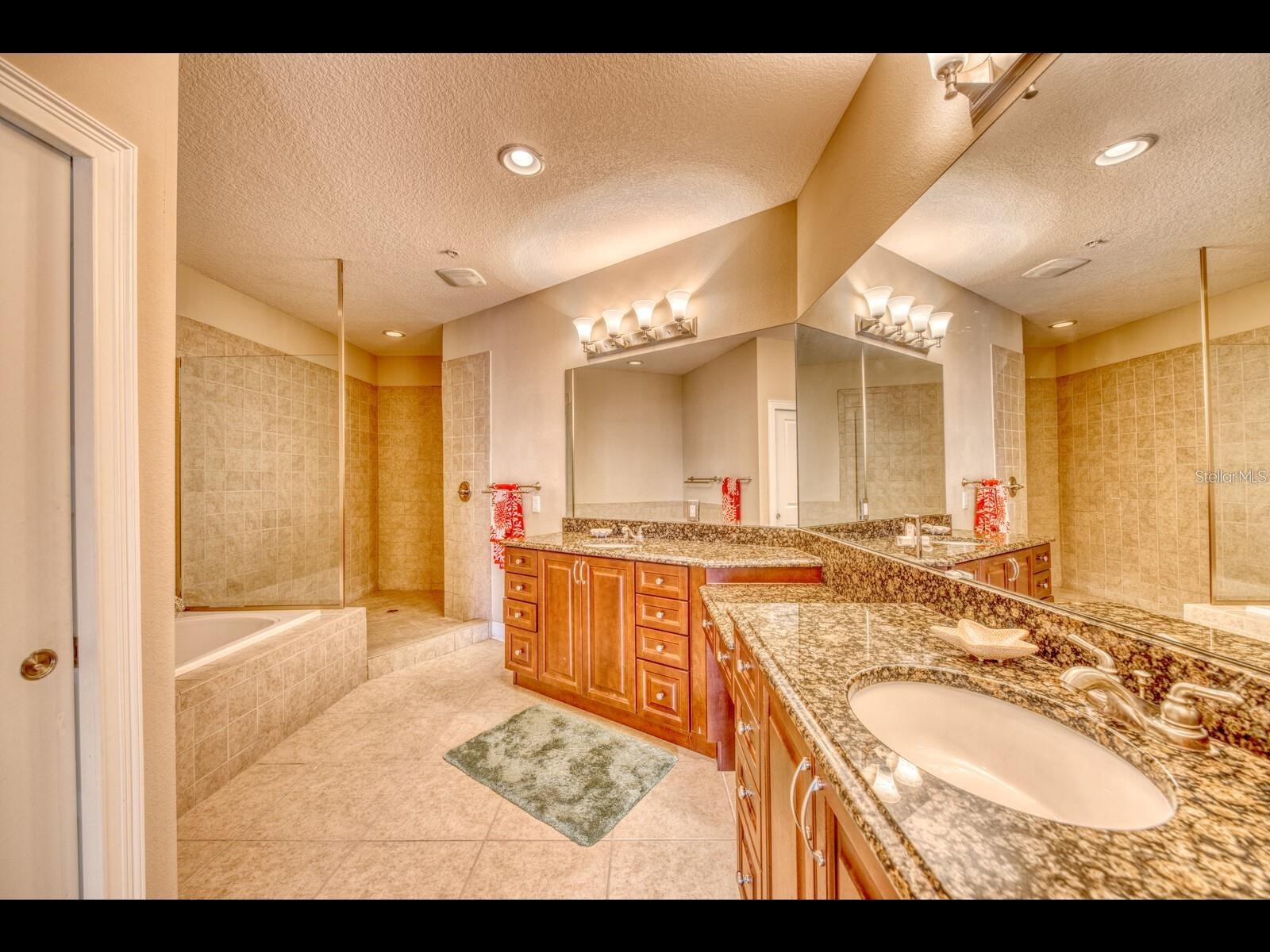 1042 Bellasol Way #203 Apollo Beach FL 33572 TB8524540 image23