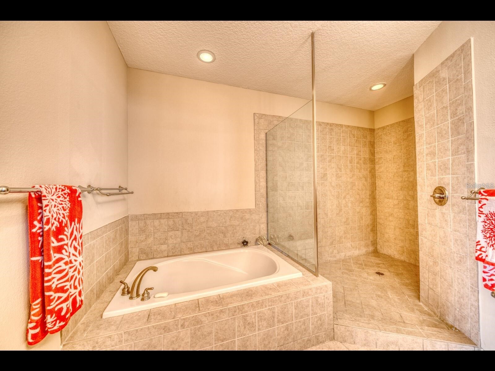 1042 Bellasol Way #203 Apollo Beach FL 33572 TB8524540 image24