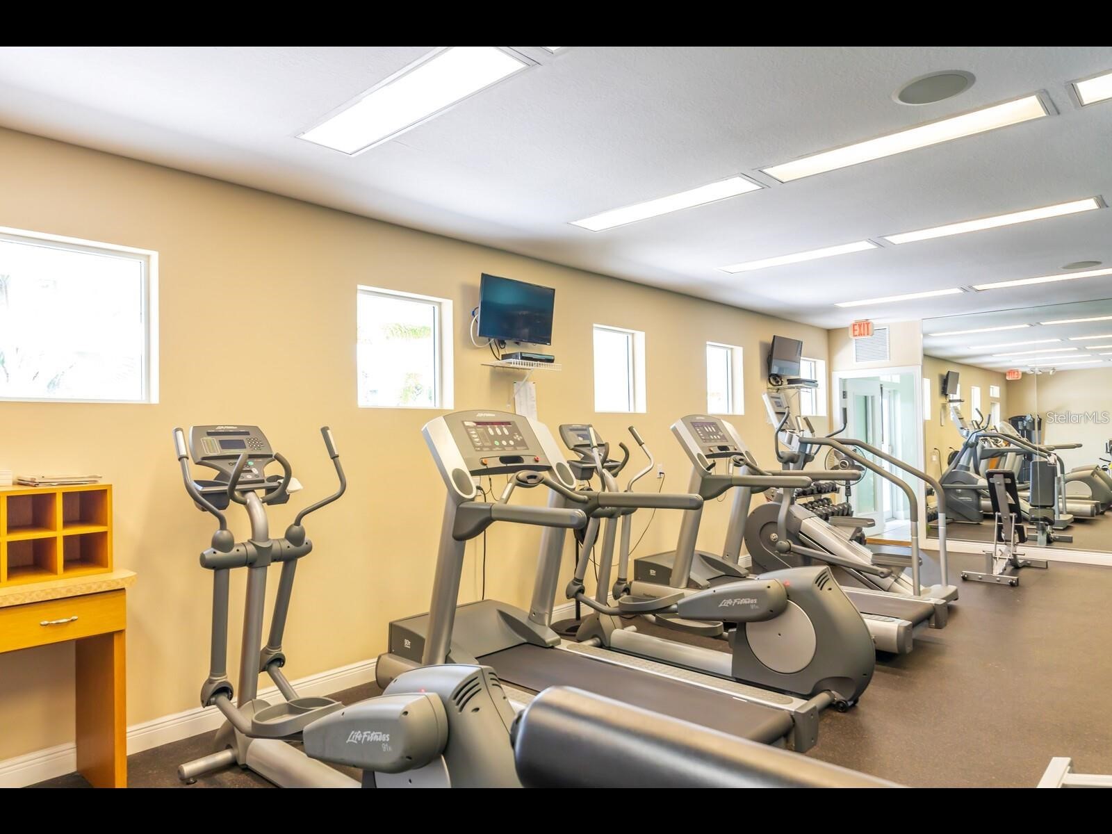 1042 Bellasol Way #203 Apollo Beach FL 33572 TB8524540 image26