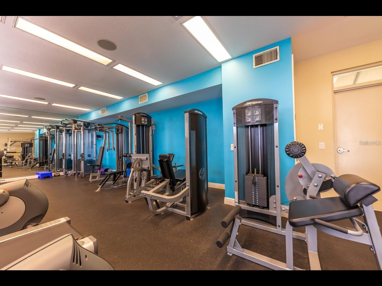 1042 Bellasol Way #203 Apollo Beach FL 33572 TB8524540 image27