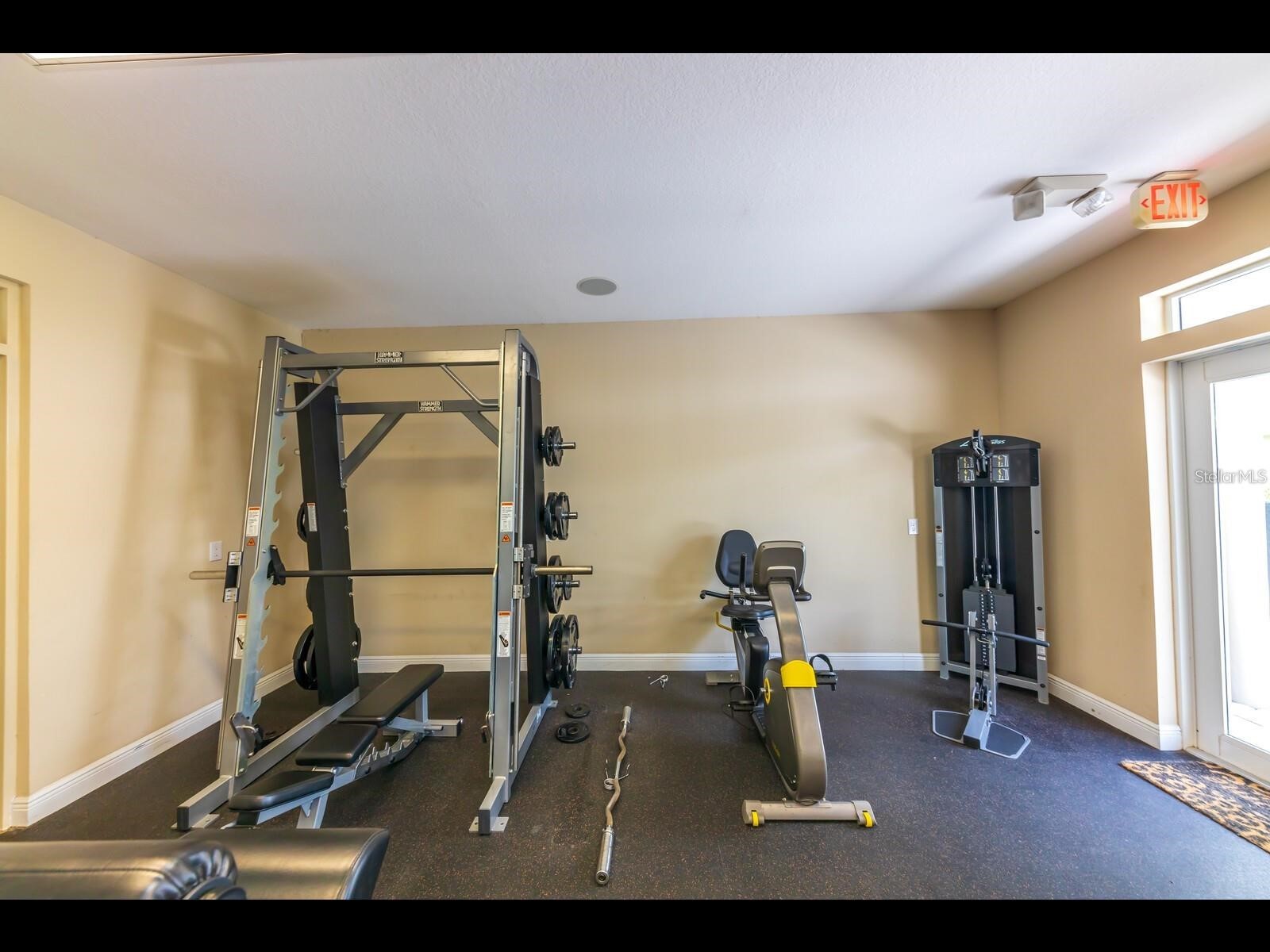 1042 Bellasol Way #203 Apollo Beach FL 33572 TB8524540 image28