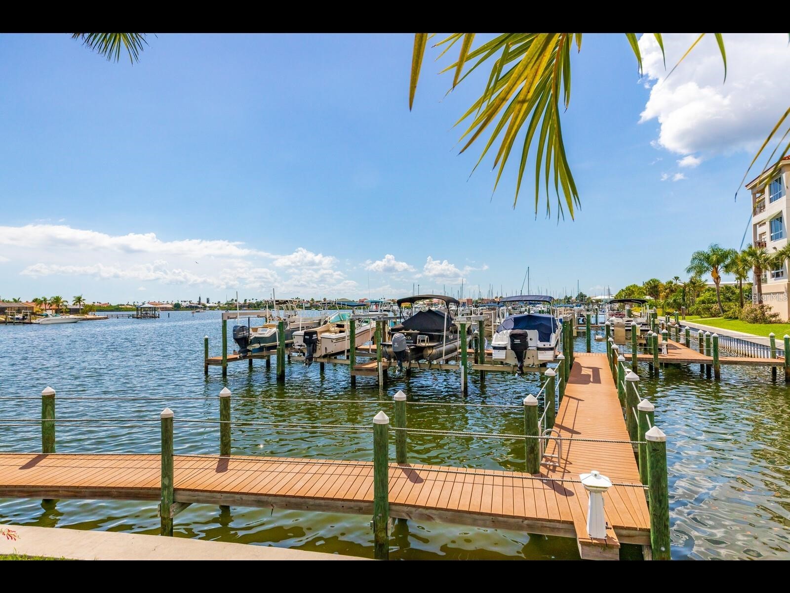 1042 Bellasol Way #203 Apollo Beach FL 33572 TB8524540 image34