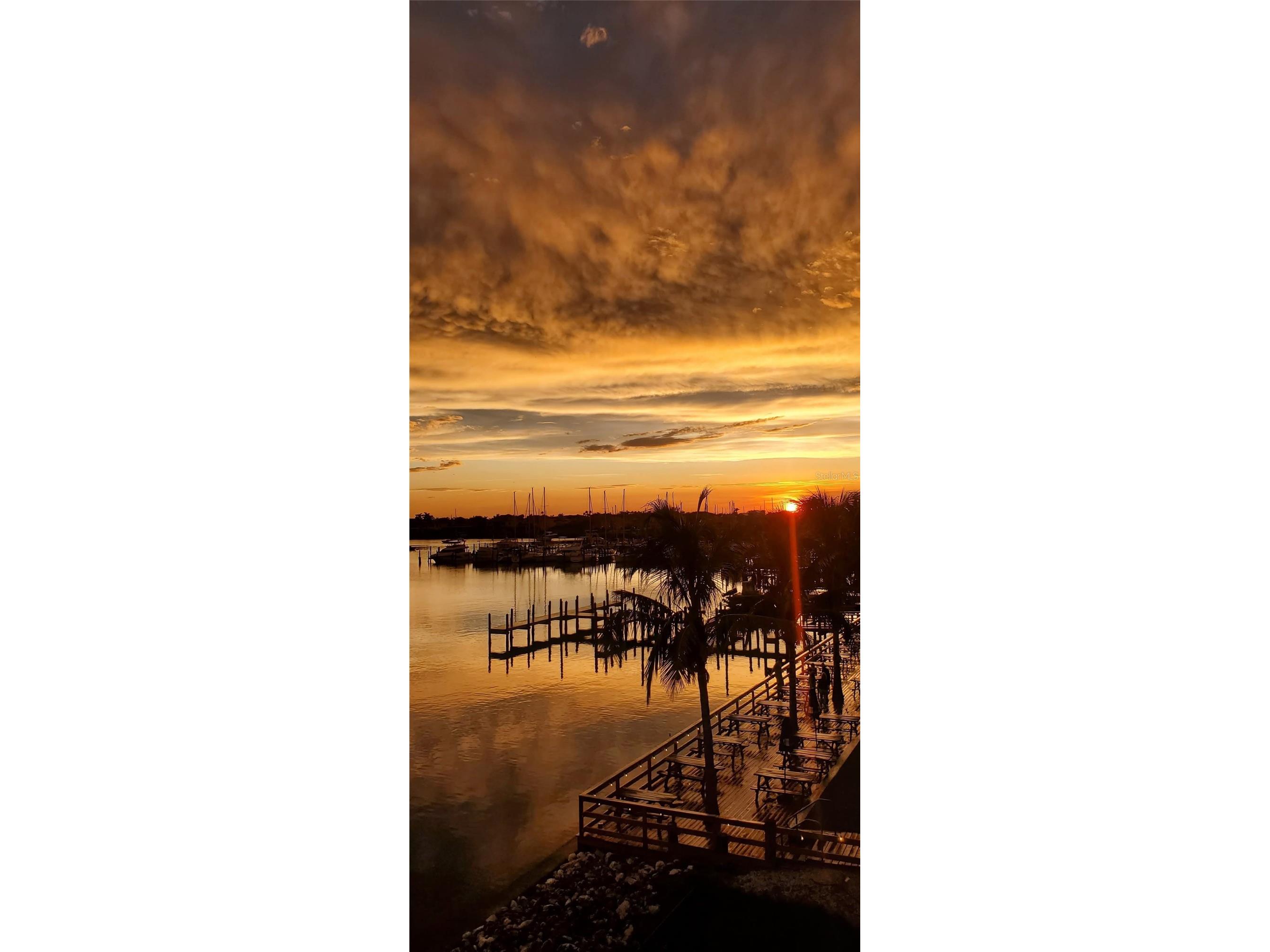 1042 Bellasol Way #203 Apollo Beach FL 33572 TB8524540 image39