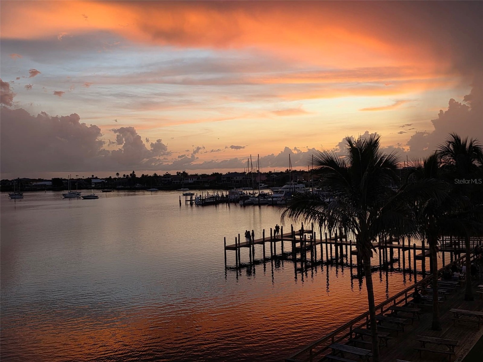 1042 Bellasol Way #203 Apollo Beach FL 33572 TB8524540 image40