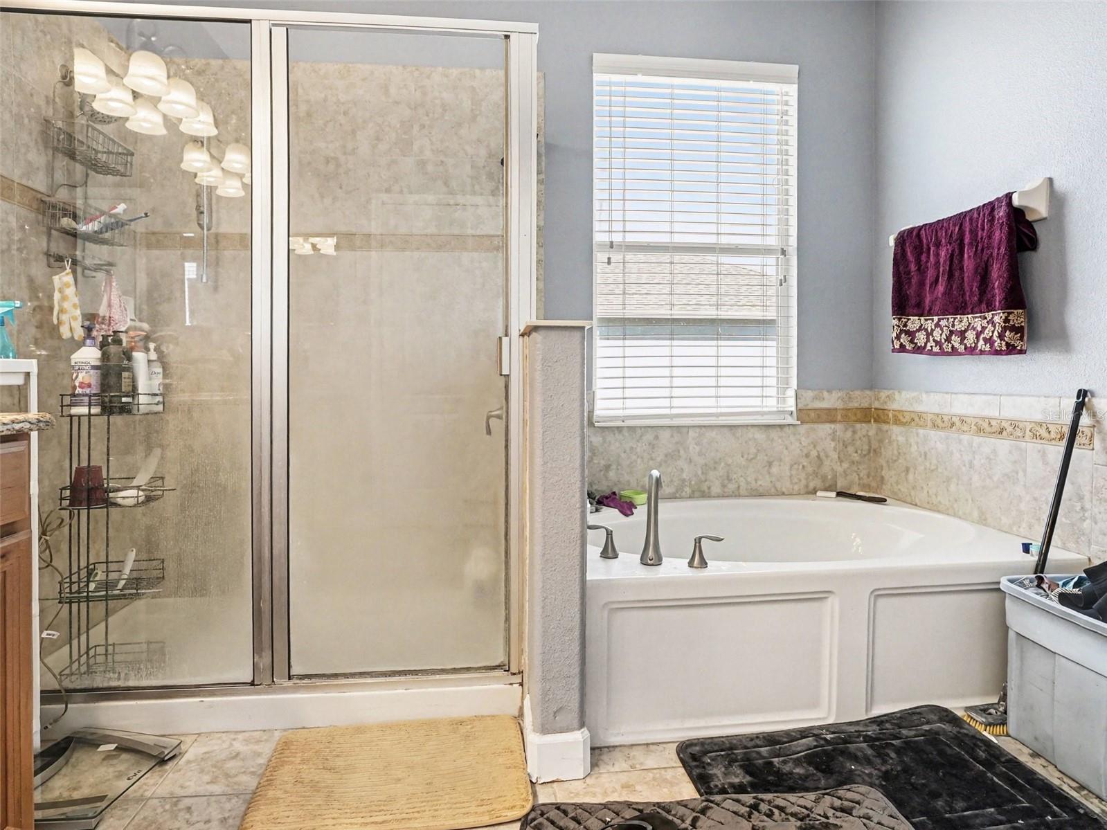1042 Harmony Lane Clermont FL 34711 O6400408 image21