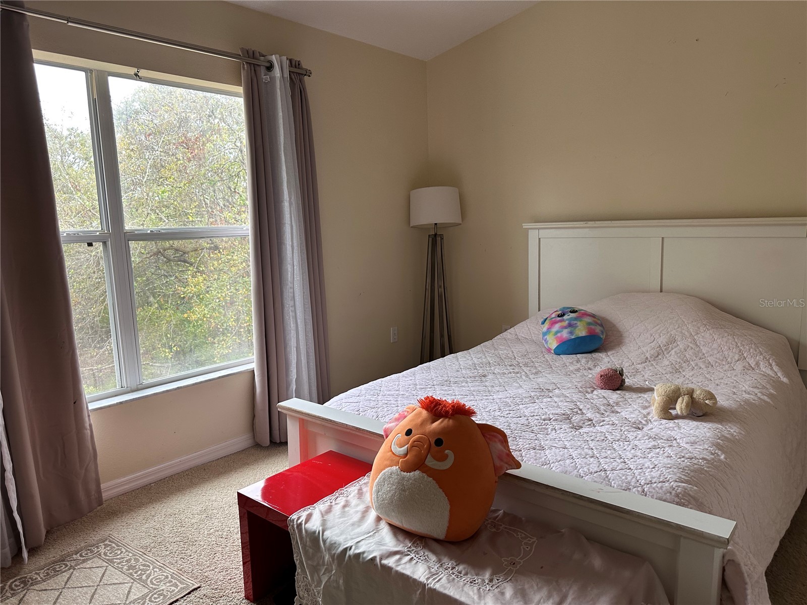 1042 N Sleepy Oak Drive Wesley Chapel FL 33543 TB8410488 image10