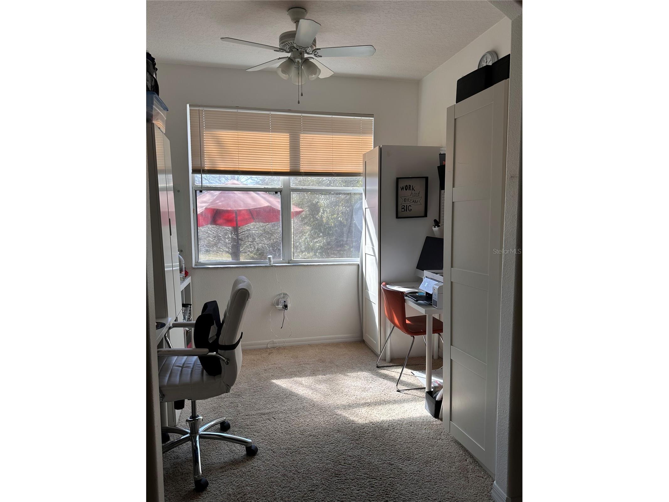 1042 N Sleepy Oak Drive Wesley Chapel FL 33543 TB8410488 image11