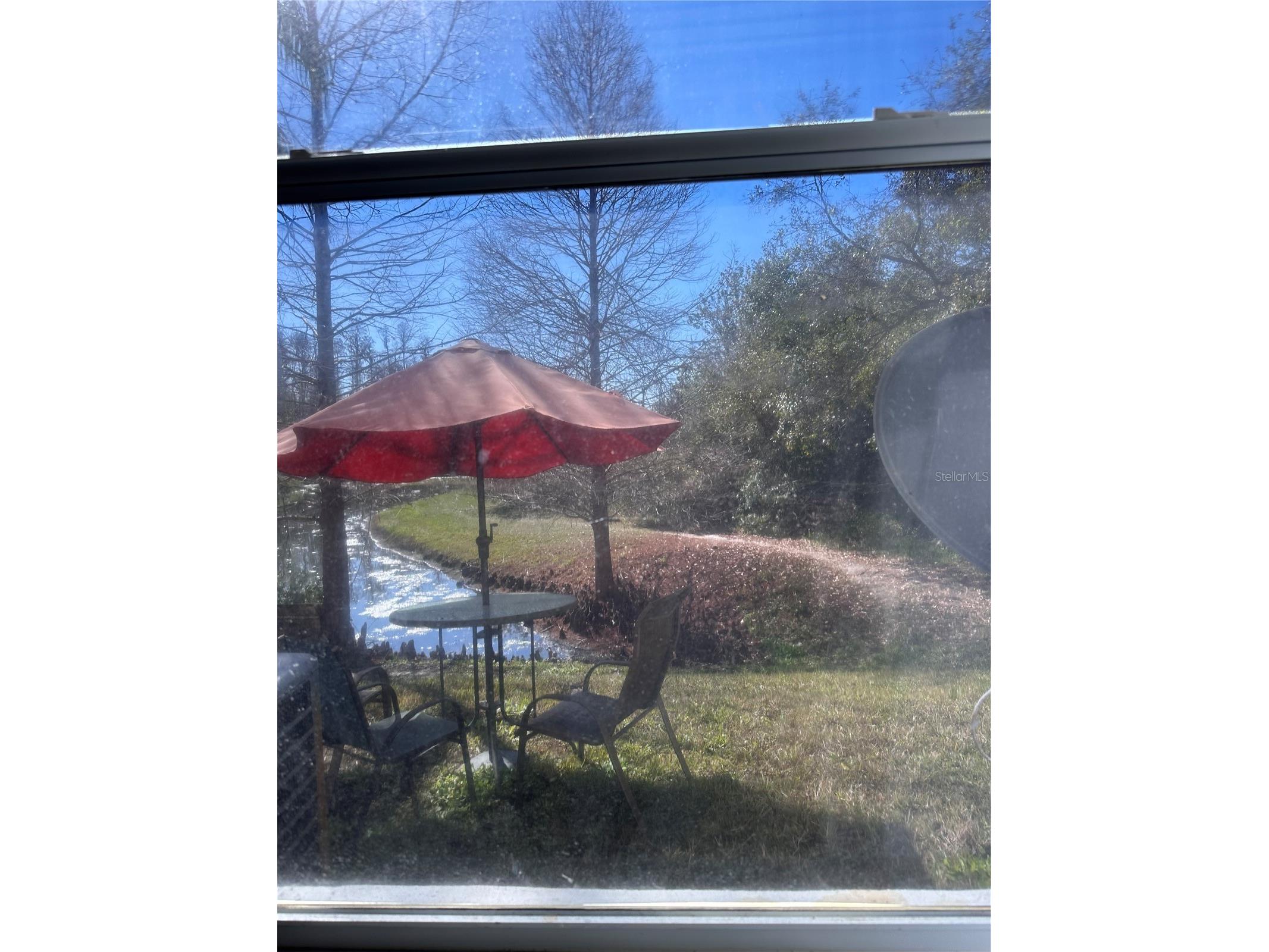1042 N Sleepy Oak Drive Wesley Chapel FL 33543 TB8410488 image13