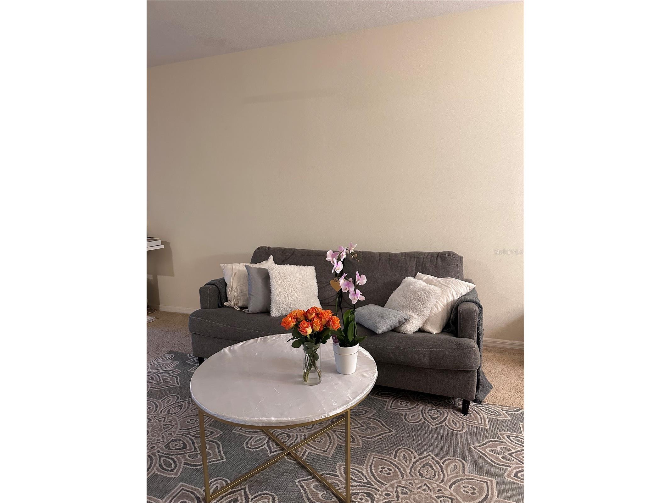 1042 N Sleepy Oak Drive Wesley Chapel FL 33543 TB8410488 image17